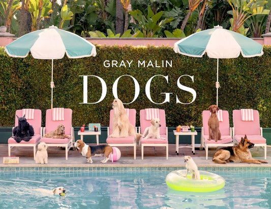 Gray Malin: Dogs Abrams Books