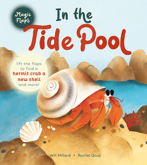 In the Tide Pool: A Magic Flaps Book Harry N. Abrams