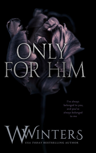 Only For Him Willow Winters Publishing LLC